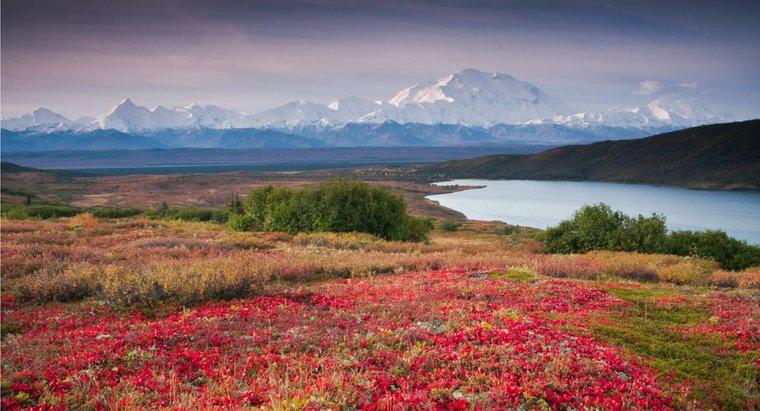 Khí hậu của Alaska là gì?