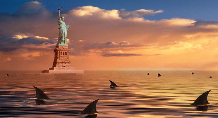 Người nào cắn nhiều người hơn: Cá mập hay người New York?