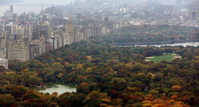 Kích thước của Công viên Trung tâm ở New York là bao nhiêu?