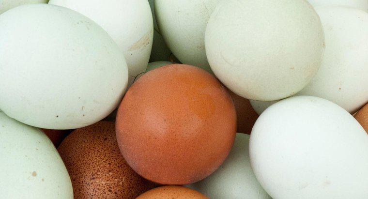 Điều gì là mê tín về việc tìm thấy một quả trứng đẫm máu?