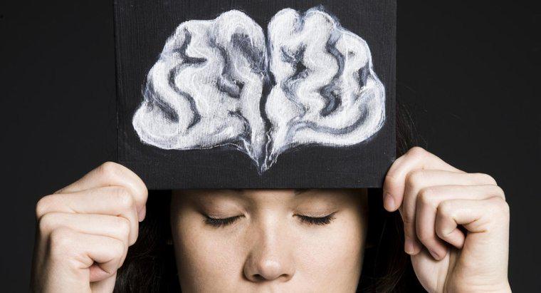 Chức năng của thùy trán của não là gì?