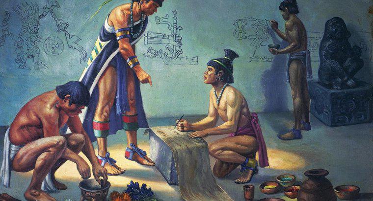 Người Aztec thích nghi với môi trường của họ như thế nào?