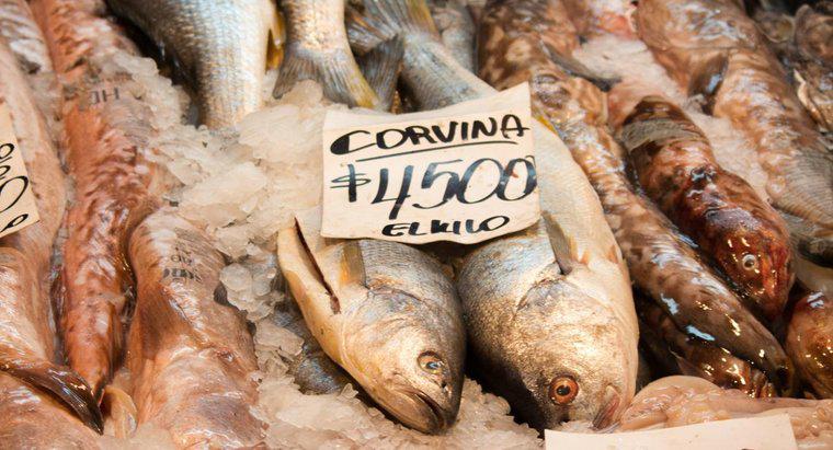Làm thế nào để bạn nấu ăn cá Corvina?