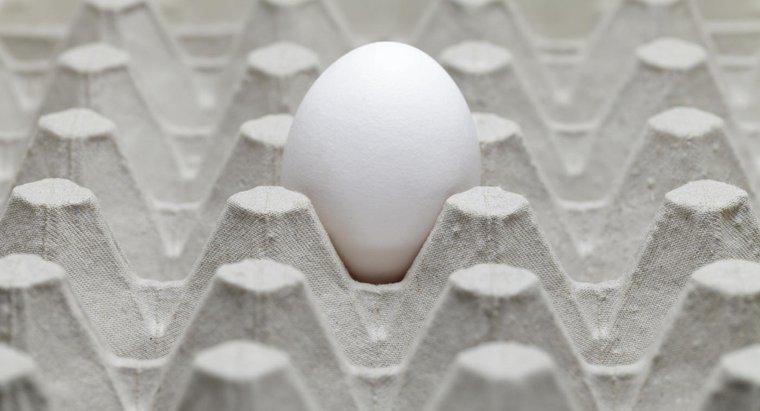 Điều gì gây ra mùi trứng thối trong nhà?