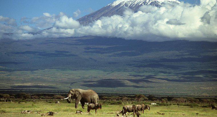 Núi Kilimanjaro được hình thành như thế nào?
