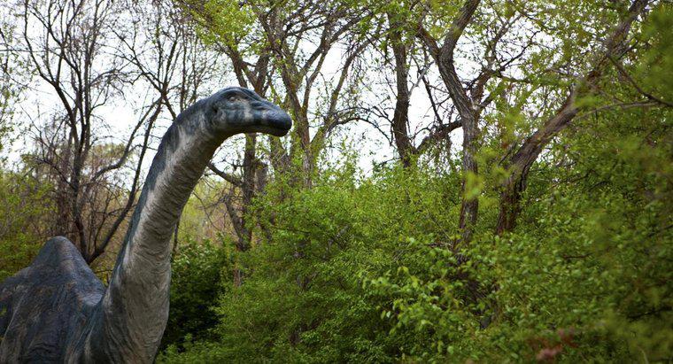 Tại sao tên của Brontosaurus được đổi thành Apatosaurus?