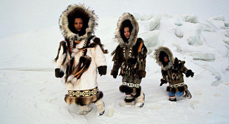 Quần áo Eskimo được làm từ gì?