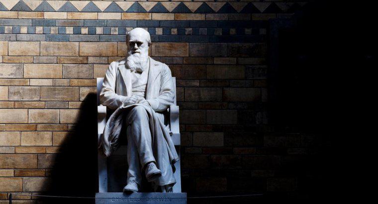 Charles Darwin nổi tiếng về điều gì?