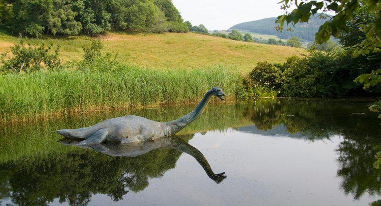 Quái vật hồ Loch Ness sống ở đâu?