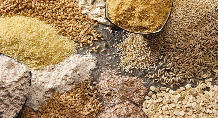 Sự khác biệt giữa Yến mạch và Lúa mì là gì?