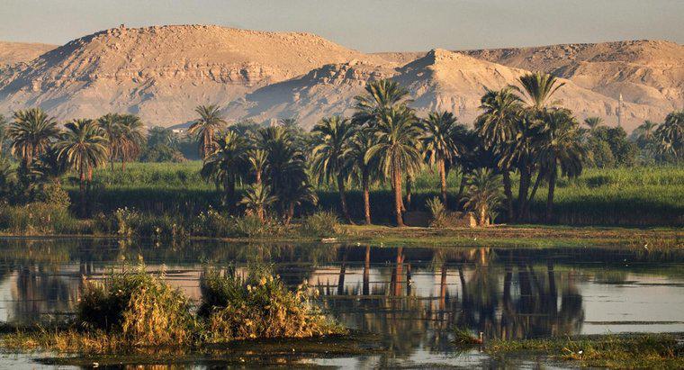 Hầu hết người Ai Cập cổ đại sống ở đâu?