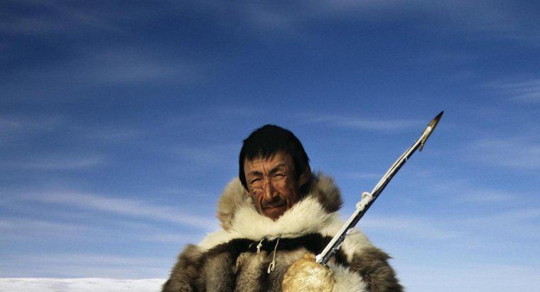 Người Inuit ăn gì?