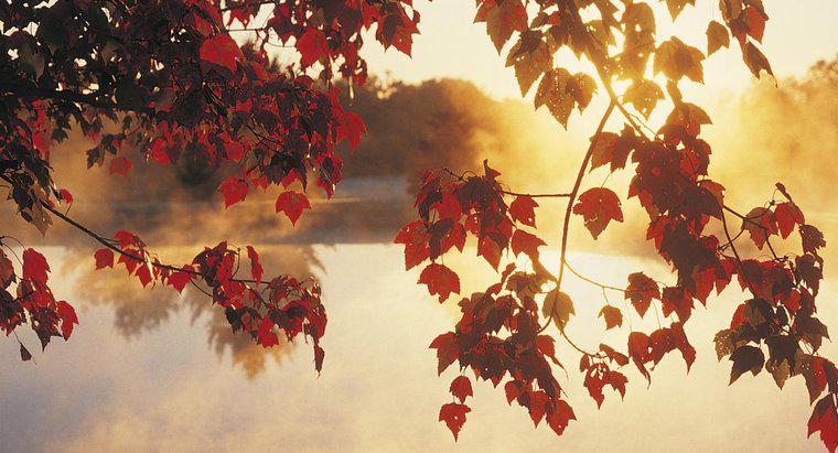 Những tháng nào ở Bắc Mỹ được coi là mùa thu?