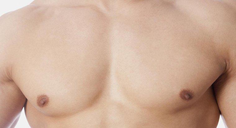 Sự khác biệt giữa phần eo trên và phần ngực là gì?