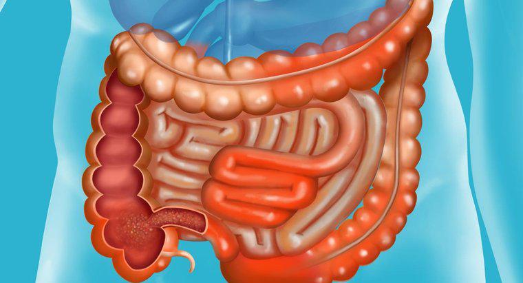 Tiên lượng của bệnh Crohn là gì?