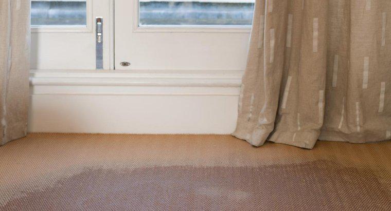 Làm thế nào để bạn loại bỏ mùi nấm mốc từ thảm?