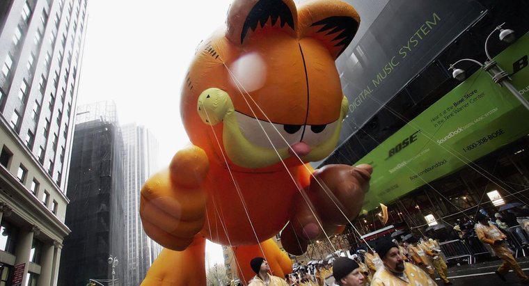 Garfield là giống mèo gì?