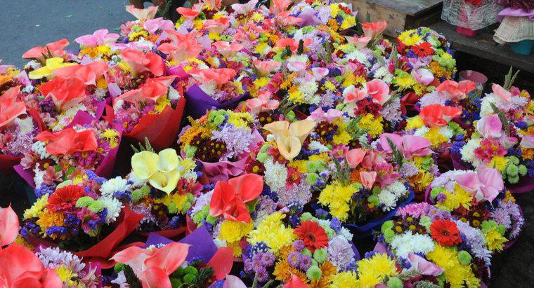 Có bao nhiêu loại hoa được bán vào ngày lễ tình nhân?