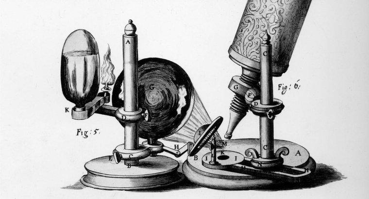 Đóng góp của Robert Hooke là gì?