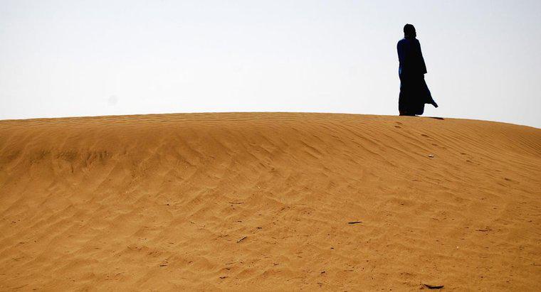 Nóng đến mức nào ở sa mạc Sahara vào mùa hè?