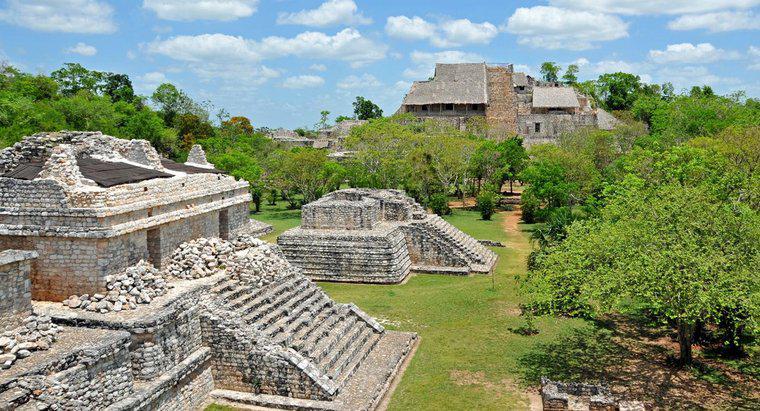 Cấu trúc của Chính phủ Maya là gì?
