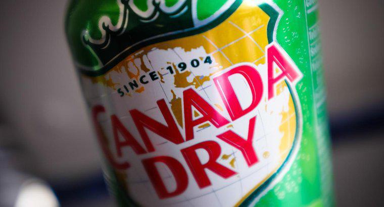 Canada Dry Ginger Ale có chứa Caffeine không?