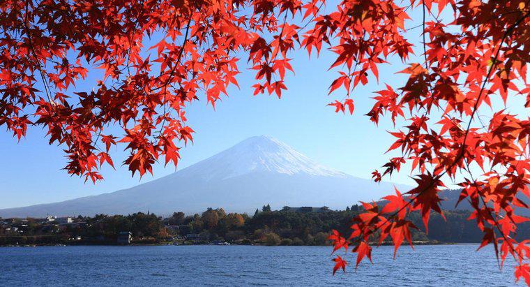 Núi Phú Sĩ được hình thành như thế nào?