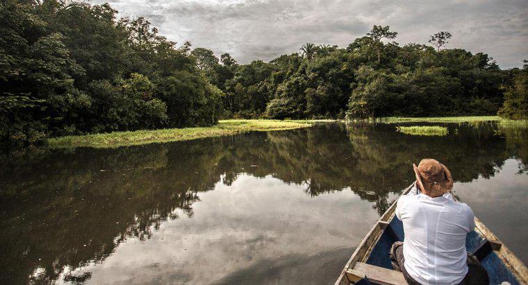 Sông Amazon sâu bao nhiêu?