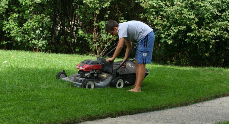 Điều gì sai với máy cắt cỏ của tôi?