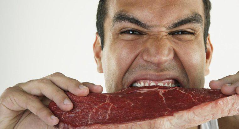 Thịt bò mất bao lâu để tiêu hóa trong cơ thể con người?