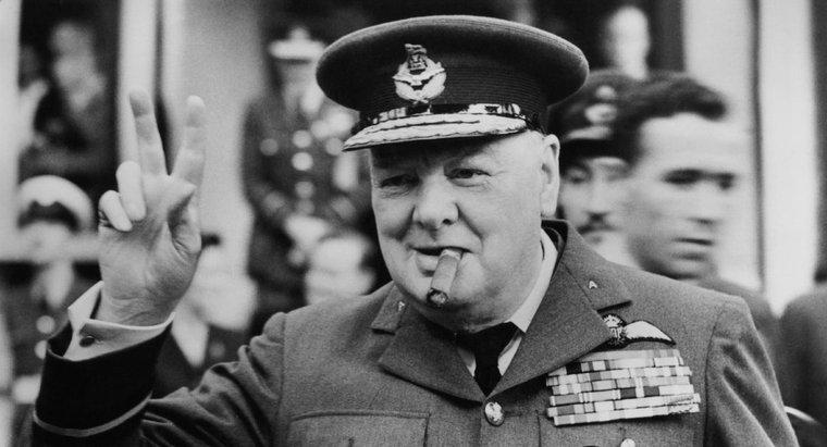 Winston Churchill đã sở hữu giống chó nào?