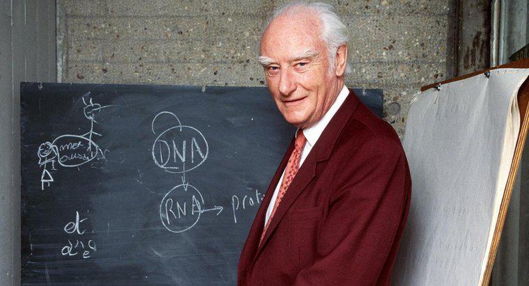Francis Crick có sử dụng LSD không?