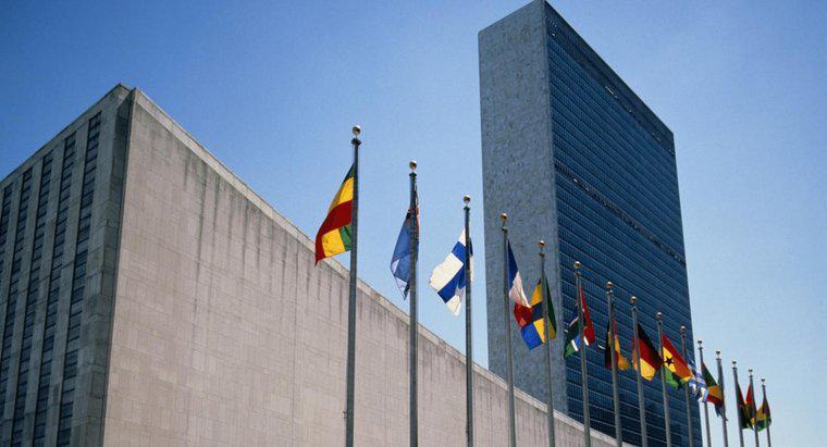 Tại sao Liên hợp quốc được thành lập?