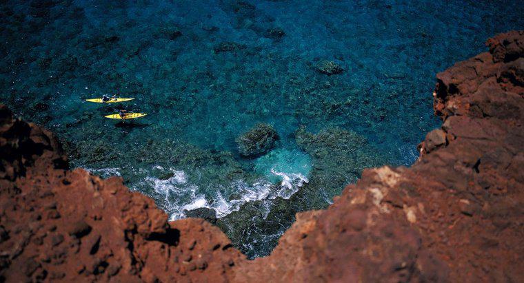 Loại đất cho rạn san hô là gì?