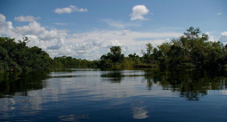 Công dụng của sông Amazon là gì?