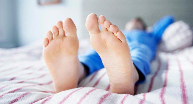 Kích thước bàn chân của một người thay đổi như thế nào theo thời gian?