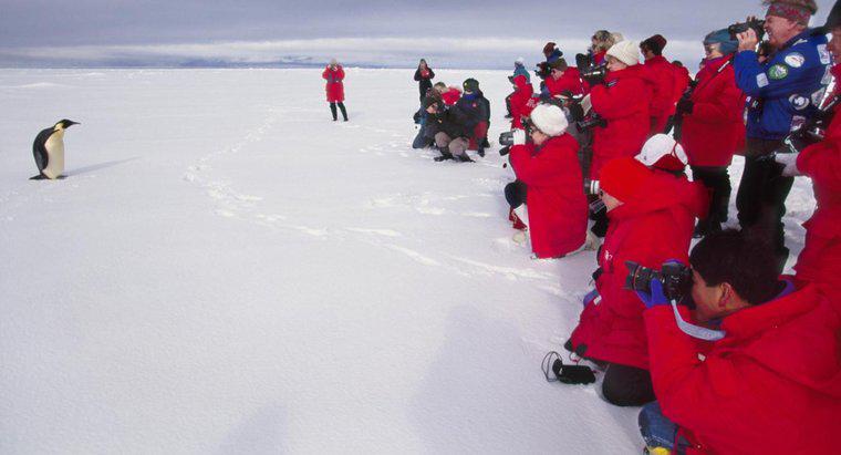 Dân số Châu Nam Cực là gì?