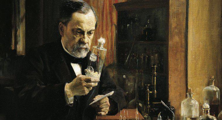Louis Pasteur có Anh chị em nào không?