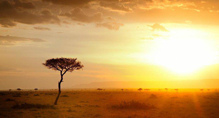 Khí hậu ở Châu Phi là gì?