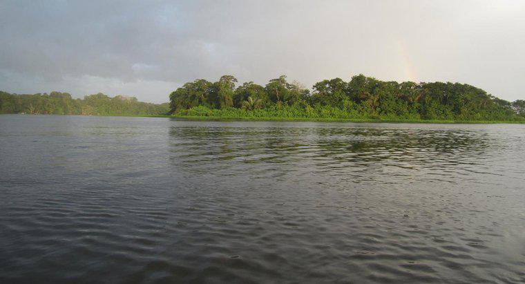 Tại sao sông Amazon lại quan trọng?