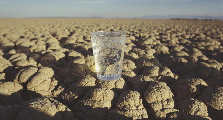 Con người có thể sống sót bao nhiêu ngày nếu không có nước?