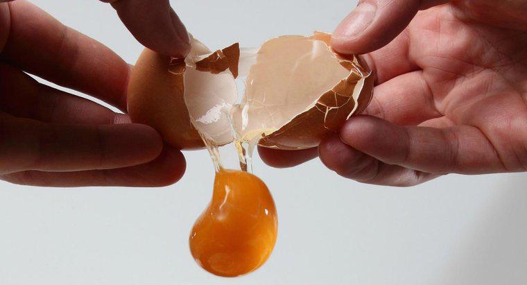 Làm thế nào để bạn làm dầu gội đầu bằng trứng?