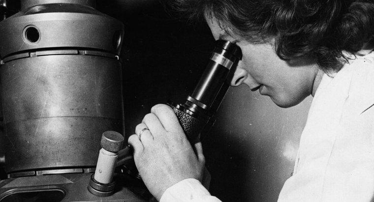 Ai là người phát minh ra kính hiển vi điện tử?