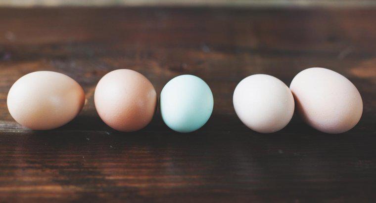 Cân nặng bao nhiêu một quả trứng?