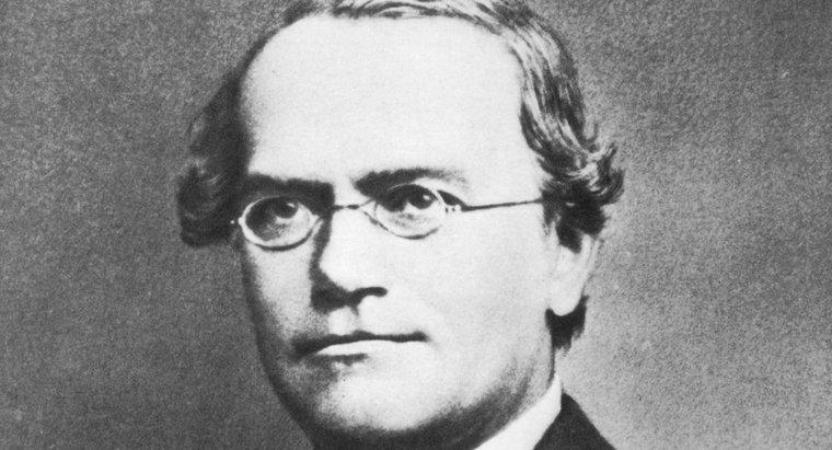 Tại sao Gregor Mendel được gọi là Cha của Di truyền học?