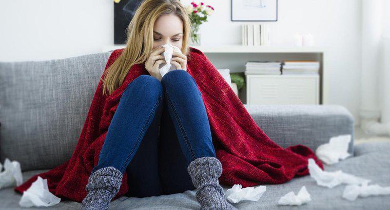Các triệu chứng của Virus cúm là gì?