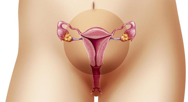 Phạm vi bình thường cho độ dày nội mạc tử cung là bao nhiêu?