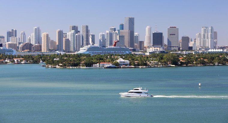 Ai sống trên đảo Star ở Miami?