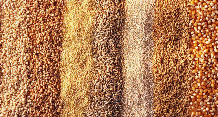 Sự khác biệt giữa Lúa mạch và Lúa mì là gì?