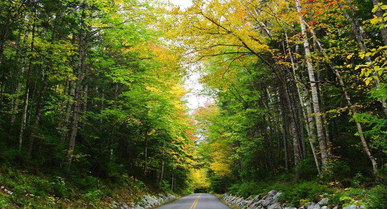 Tài nguyên thiên nhiên của New Hampshire là gì?